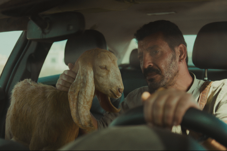 Kadr z filmu "Qaher". Mężczyzna prowadzi samochód. Obok niego na siedzeniu pasażera siedzi koza.